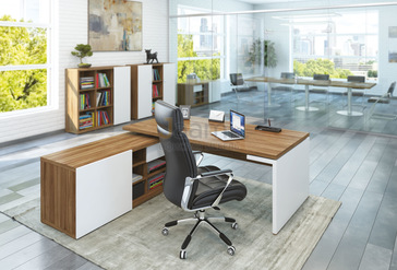 Кабинет руководителя ZION